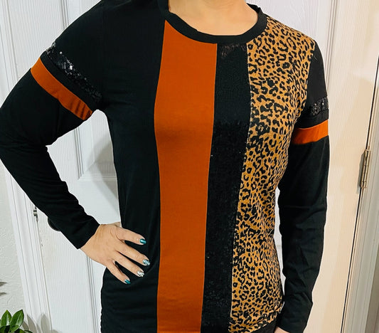 Sunshine & Rodeos Striped Color Block Long Sleeve Top with Sequin